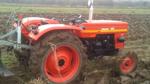 UTB/Universal 484 Tractor